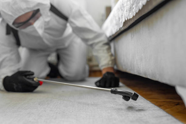Professional Bed Bug Control technician working in Northview, MI
